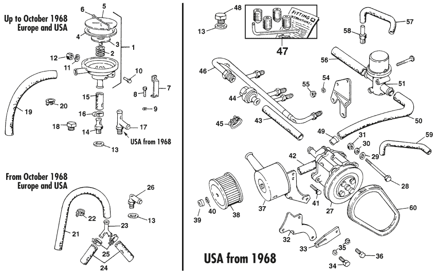 MG Midget 1964-80 - V snaar | Webshop Anglo Parts - 1