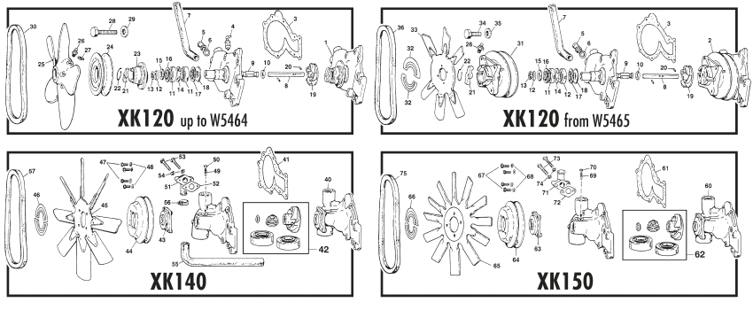 Water pumps - Vattenpump - Motor kylning - Jaguar XK120-140-150 1949-1961 - Water pumps - 1