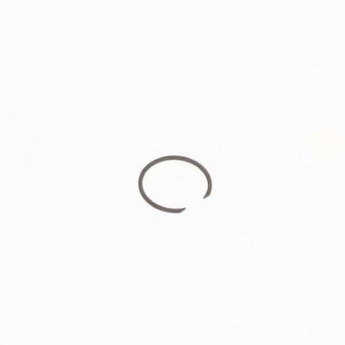 SPRING RING-BEARING - Mini 1969-2000 | Webshop Anglo Parts