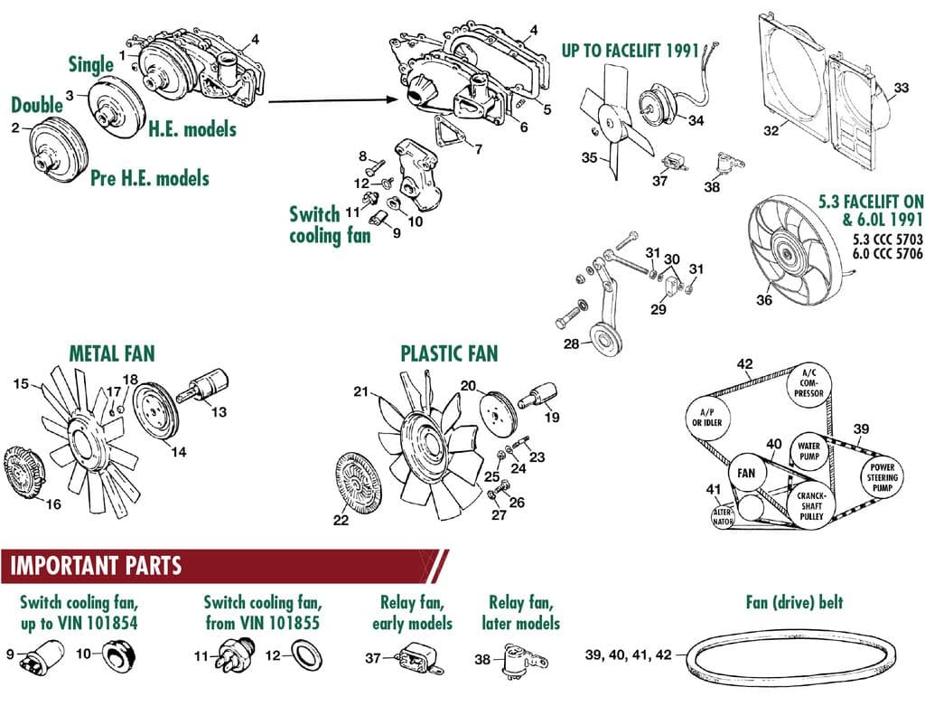 Jaguar XJS - Paski rozrządu | Webshop Anglo Parts - 1