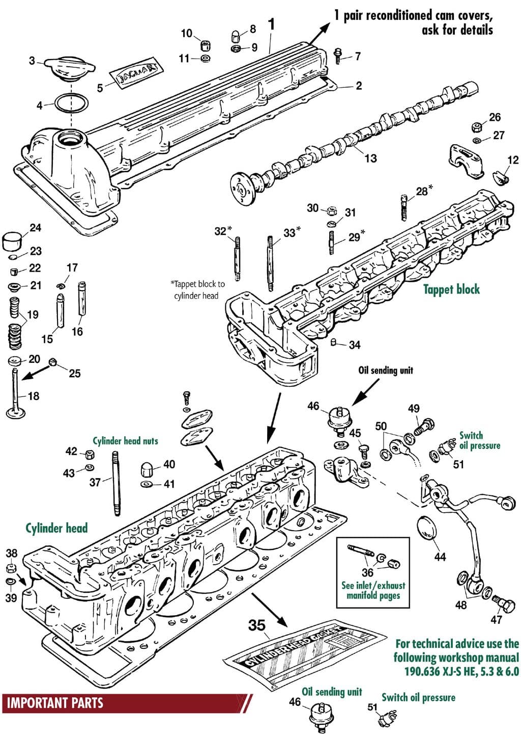 Jaguar XJS - Engine valves | Webshop Anglo Parts - Cylinderhead V12 - 1