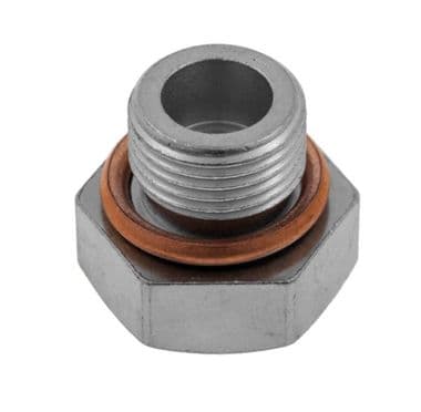 HEX HD SUMP PLUG+WASHER | Webshop Anglo Parts