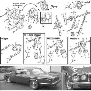 Circuit d'huile - Jaguar XJ6-12 / Daimler Sovereign, D6 1968-'92 - Jaguar-Daimler pièces détachées - XJ12 timing, pump & filters