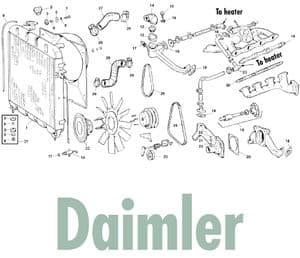 Pompe à eau Daimler - Jaguar MKII, 240-340 / Daimler V8 1959-'69 - Jaguar-Daimler pièces détachées - Daimler cooling system
